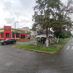 Casa Flores