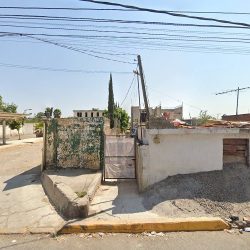 Casa Flores