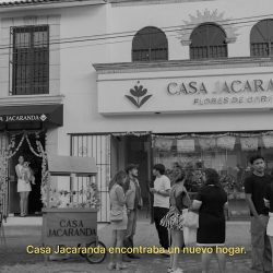 Casa Jacaranda Flores De Corte