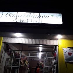 Casablanca Arte Floral