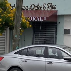 Cataleya Dulce Y Flor