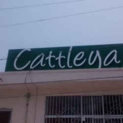 Cattleya Floristería Fina