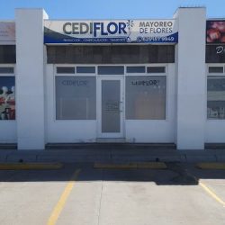 Cediflor