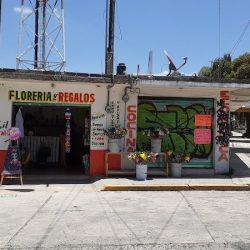 Cempasúchil Regalos Y Arte Floral