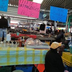 Centro De Acopio, Transformación Y Distribución Tepeaca-bkssol