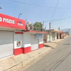 Cervecentro Piscis