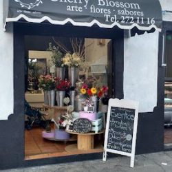Cherry Blossom Boutique Floral