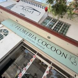 Cocoon Florería