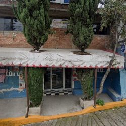 Comercial Flores