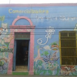 Comercializadora Flores Del Sureste