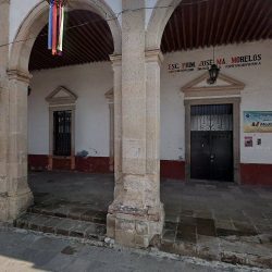 Comercializadora Purepecha De Flores Y Follajes