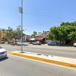 Comercio De Plantas Y Flores Naturales. Gotita De Agua