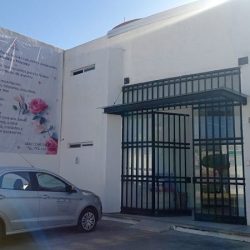 Comflor Comercializadora De Flores