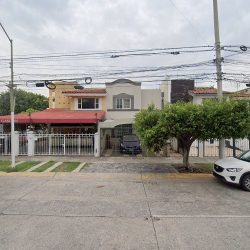 Concepto De Flor Florería