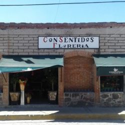 Consentidos Floreria