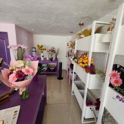 Corazón De Violeta, Floristería Chapalita