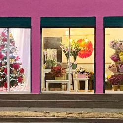 Creativa Flores By Mayra Alvarez