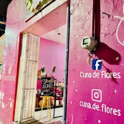 Cuna De Flores, Regalos, Globos & Más