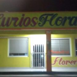 Curios Floralia