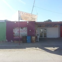 D' Chabely Floreria Ojinaga, TrasviÑa
