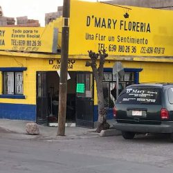 D Mary Floreria
