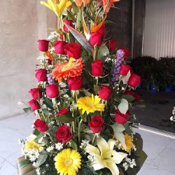 D'mary Florería