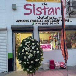 D Sistars Detalles