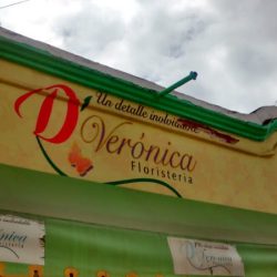 D' Verónica Floristería