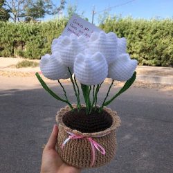 Dasi.crochet