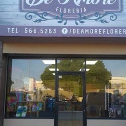 De Amore Floreria