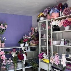 De Núvia Regalos Y Decoraciones