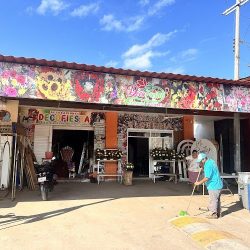 Decofiesta🌹chapala