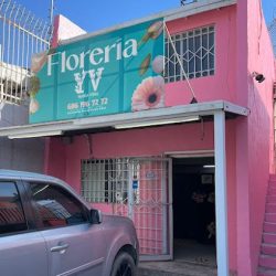 Decoración Floral Yanira Vidal