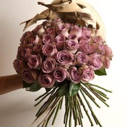 Decus Estudio Floral