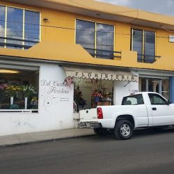 Del Carmen Flowers