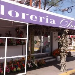 Del Puerto FlorerÍa