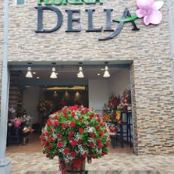 Delia Flores Gdl