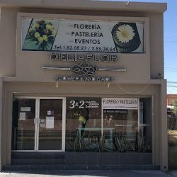 Deliflor Sucursal Constitución