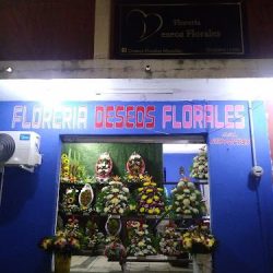 Deseos Florales Mazatlán Florería