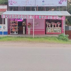 Detalles Florería