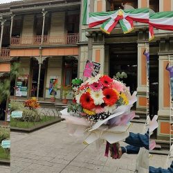 Dflorenceorizaba Florería