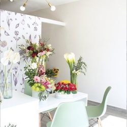 Difior Arte Y Diseño En Flor