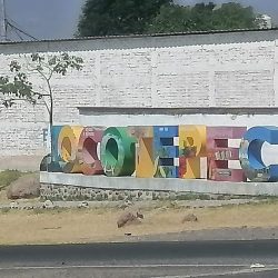 Dilo Con Flores
