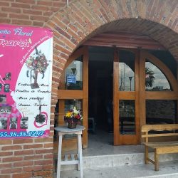 Diseño Floral Monarca