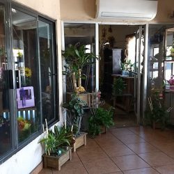 Disflor Florería