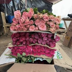 Distribuidor De Flores Ruiz