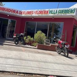 Distribuidor De Flores Y Florería "villa Guerrero"