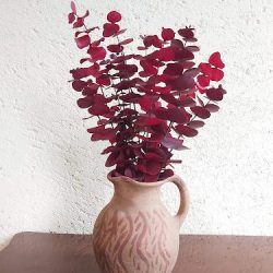 Distribuidora De Flores Frescas Y Preservados G Floral Tenancingo