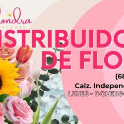 Distribuidora De Flores Mexicali