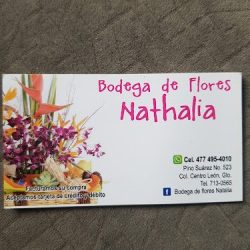 Distribuidora De Flores Nathalia